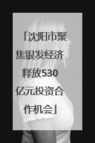 沈阳市聚焦银发经济释放530亿元投资合作机会
